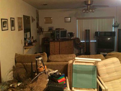 2828 Umbrella Tree